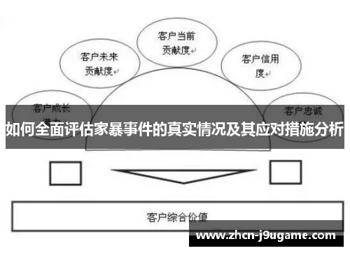 如何全面评估家暴事件的真实情况及其应对措施分析