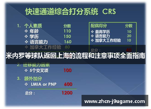 米内罗等球队返回上海的流程和注意事项全面指南