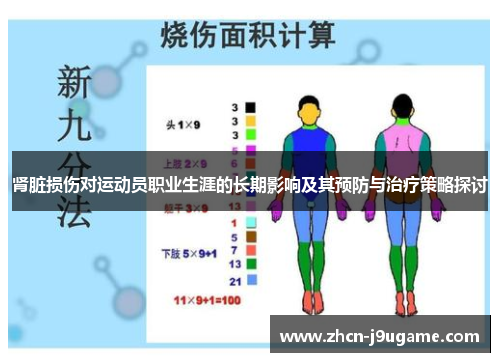 肾脏损伤对运动员职业生涯的长期影响及其预防与治疗策略探讨