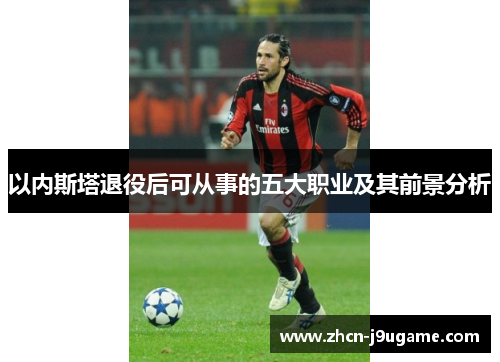 以内斯塔退役后可从事的五大职业及其前景分析